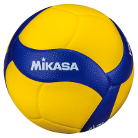 Мяч волейбольный FIVB Exclusive (№5)	 Mikasa V200W